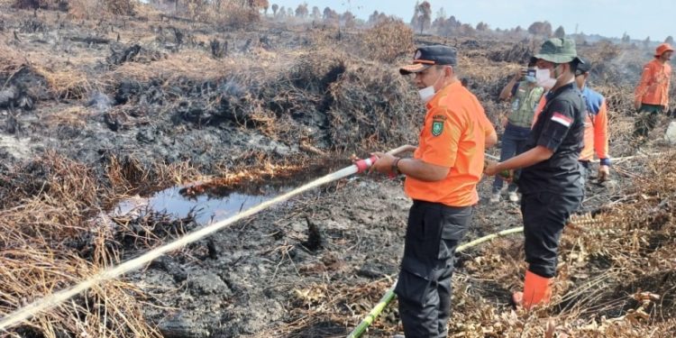 BPBD Bengkalis Koordinasi Dengan 2 Koleganya Atasi Karlahut di Perbatasan