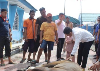 Lapas Bengkalis Potong 5 Sapi dan 1 Kambing Pada Idul Adha 1444 H 2023