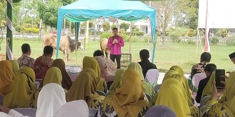 Kadis DLH Dampingi Bupati Rohil Penyembelihan Hewan Qurban