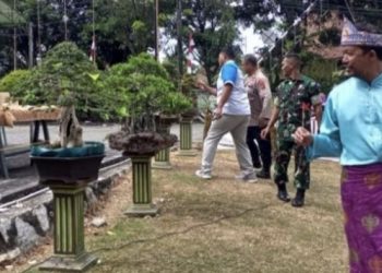 Museum Timah Indonesia Muntok Jadi Lokasi Pameran Bonsai 