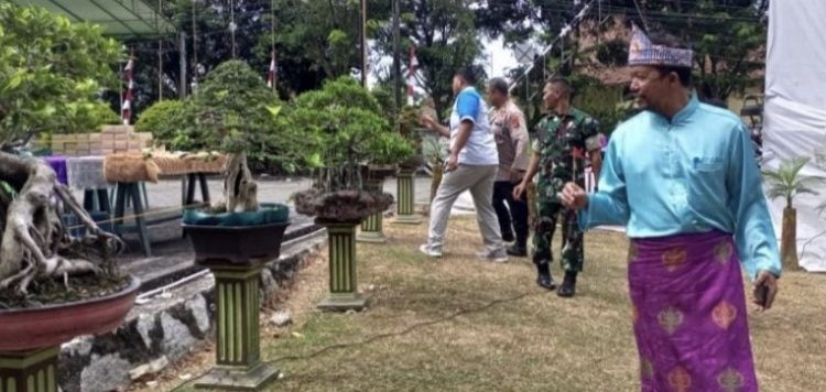 Museum Timah Indonesia Muntok Jadi Lokasi Pameran Bonsai