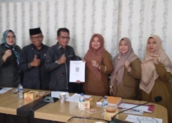 Pansus C DPRD Rohil Pertemuan Bersama DP2KBP3A Bahas Tentang Layak Anak