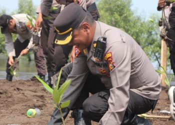 Sempena HUT Humas Polri ke 72, Polres Bengkalis Tanam 500 Bibit Mangrove