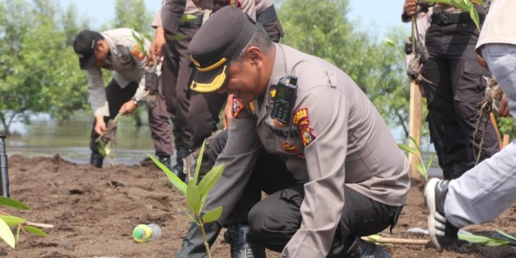 Sempena HUT Humas Polri ke 72, Polres Bengkalis Tanam 500 Bibit Mangrove
