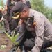 Sempena HUT Humas Polri ke 72, Polres Bengkalis Tanam 500 Bibit Mangrove