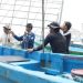 PT Timah Tbk Dorong Kemandirian Ekonomi Masyarakat Melalui Program TJSL