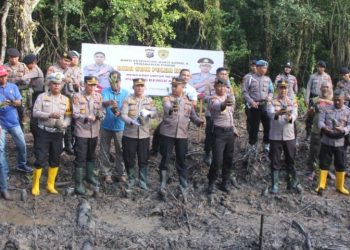 Polres Bengkalis dan Biro SDM Polda Riau Tanam 250 Bibit Mangrove