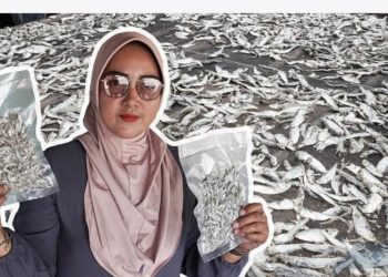 PT Timah Tbk Bantu Usaha Ikan Dewi Jadi Maju Hasilkan Ratusan Kilo Perhari