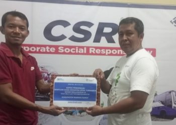 Program PUMK PT Timah Tbk, Dorong Niko Kembangkan Usaha Ayam Petelur