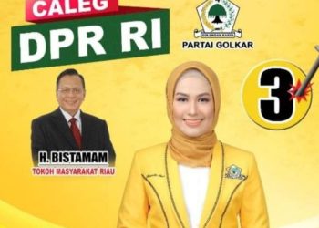 Ini Perjuangkan DR Karmila Sari Selama Anggota DPRD Provinsi Riau Periode 2019-2023