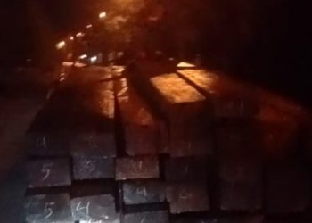 Ilegal Logging Marak di Bengkalis, Aparat Penegak Hukum Tutup Mata