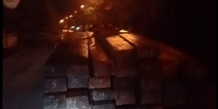 Ilegal Logging Marak di Bengkalis, Aparat Penegak Hukum Tutup Mata