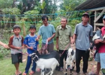 Tiyuh Indraloka II Tingkatkan Ketahanan Pangan Melalui Program K3W