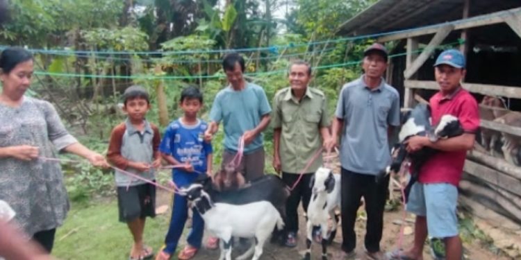 Tiyuh Indraloka II Tingkatkan Ketahanan Pangan Melalui Program K3W