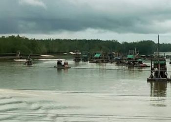 Darurat Ekologis: DAS Perimping dan Hutan Bakau Bangka Belitung Dihajar Tambang Ilegal