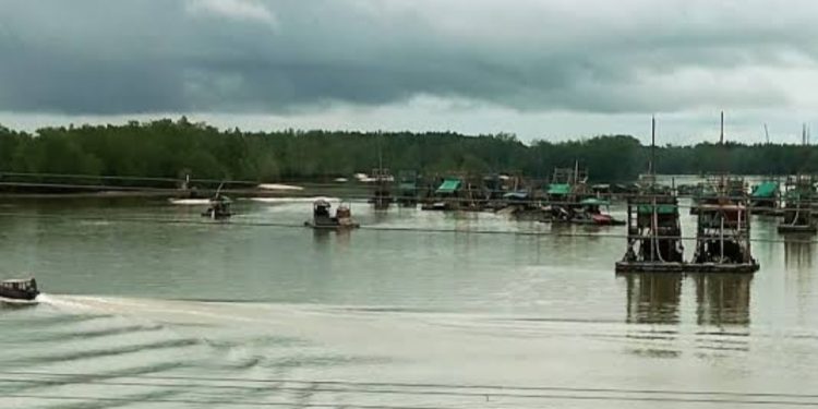 Darurat Ekologis: DAS Perimping dan Hutan Bakau Bangka Belitung Dihajar Tambang Ilegal
