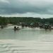 Darurat Ekologis: DAS Perimping dan Hutan Bakau Bangka Belitung Dihajar Tambang Ilegal