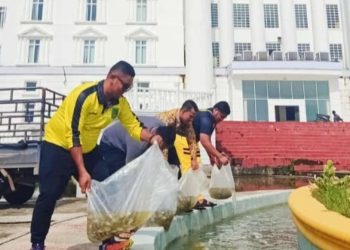 Kabag Umum Sekda Rohil Tabur Benih Ikan di Kolam Air Mancur Supaya Indah