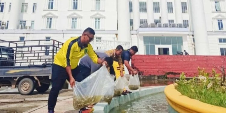 Kabag Umum Sekda Rohil Tabur Benih Ikan di Kolam Air Mancur Supaya Indah