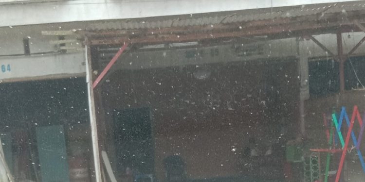 LLMB Tapung Raya dan Mahasiswa Akan Demo, Praktisi Hukum dan Camat Angkat Bicara