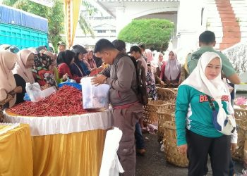 Kurangi Dampak Inflasi, DKPP Rohil Gelar Gerakan Pangan Murah 2024