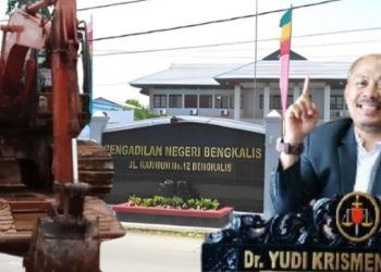 Terdakwa Kasus Penebangan Pohon Ilegal, Ditangguhkan Penahanan PN Bengkalis