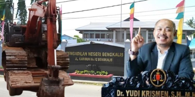 Terdakwa Kasus Penebangan Pohon Ilegal, Ditangguhkan Penahanan PN Bengkalis