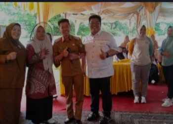 Bupati Rohil Beri Hadiah Umroh 1 Orang Kader Posyandu Saat HKN Ke 59
