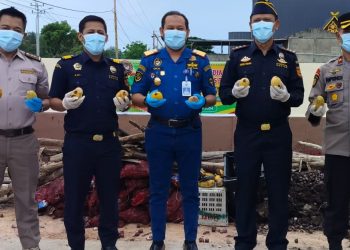 Badan Karantina Riau Musnahkan BB 45,5 Ton Bawang dan Mangga