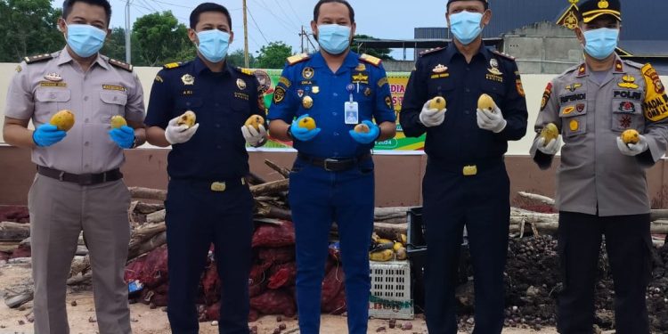 Badan Karantina Riau Musnahkan BB 45,5 Ton Bawang dan Mangga