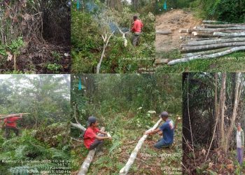 Dianggap Lempar Batu Sembunyi Tangan Kuasa Hukum KOPPSA-M Segera Laporkan PTPN IV Regional 3 ke Kejagung