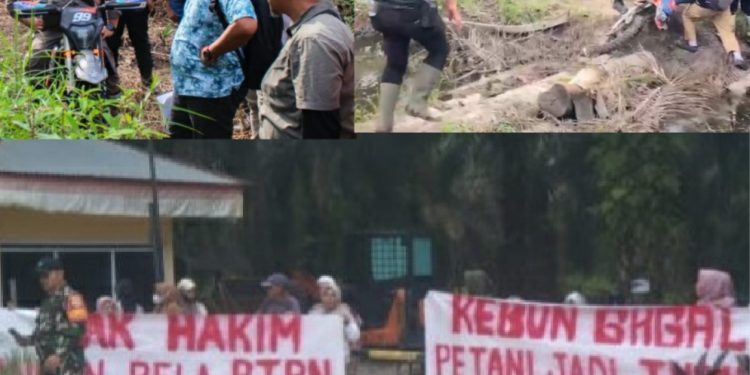 Aneh Sidang Lapangan, Perkara Gugatan PTPN VS KOPPSA M:Kenapa Ketua Majelis Hakim Menolak Penggunaan Drone?