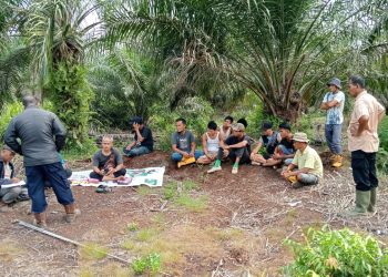 Tegas, Koperasi BBDM Pastikan Pengelolaan Kebun Plasma Sah Legalitas dan Bantah Tudingan Menyesatkan 