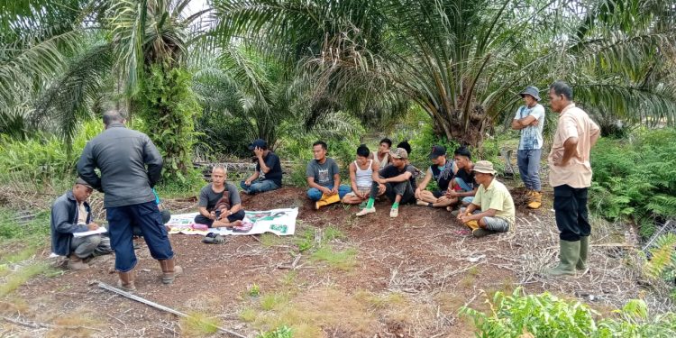 Tegas, Koperasi BBDM Pastikan Pengelolaan Kebun Plasma Sah Legalitas dan Bantah Tudingan Menyesatkan 
