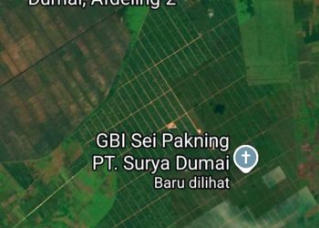 Dugaan Selisih Lahan, BPN-ICI Riau Ajukan Permohonan Pengukuran Ulang Lahan PT SDA kepada Dinas Perkebunan Bengkalis