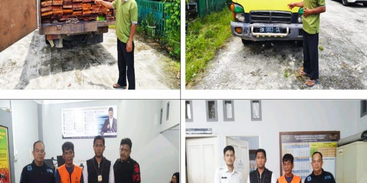 Gakkum Kehutanan Bongkar Peredaran Kayu Ilegal dari Suaka Margasatwa Kerumutan Riu