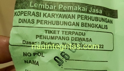 Ombudsman RI Temukan Potensi Maladministrasi, Kini BPK Ungkap Retribusi Pelabuhan RoRo Bengkalis
