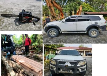 Gakkum Kehutanan Bersama Satgas PKH Amankan Pelaku Pembalakan Liar Dalam Kawasan TNTN