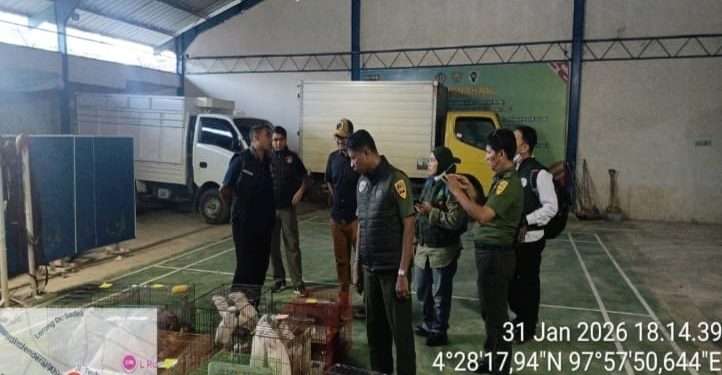 Balai Gakkum Kehutanan Bongkar Penyelundupan Satwa Dilindungi di Aceh