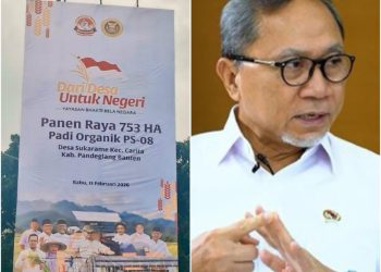 Menko Pangan Siap Hadir pada Panen Raya 753 Hektare Padi Organik PS-08 di Pandeglang