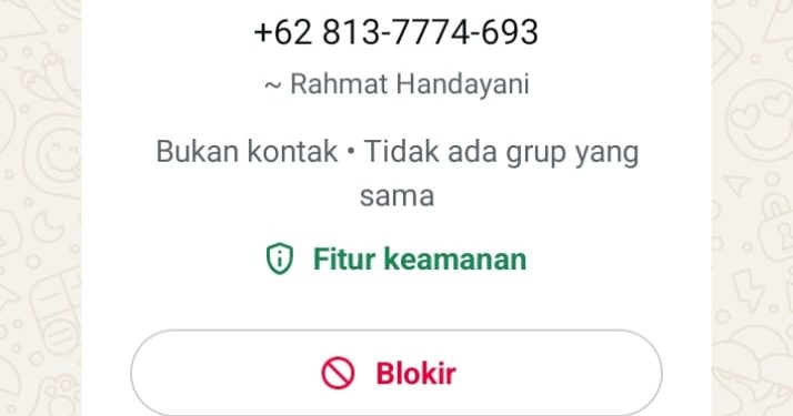 Waspada Penipuan WhatsApp, Pelaku Catut Nama dan Foto Rahmat Handayani di Pekanbaru