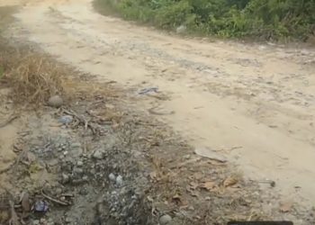 Dugaan Ilegal, PT AKM Keruk Tanah Timbun di Kawasan Hutan Produksi Konversi Milik PHR di Rokan Hilir