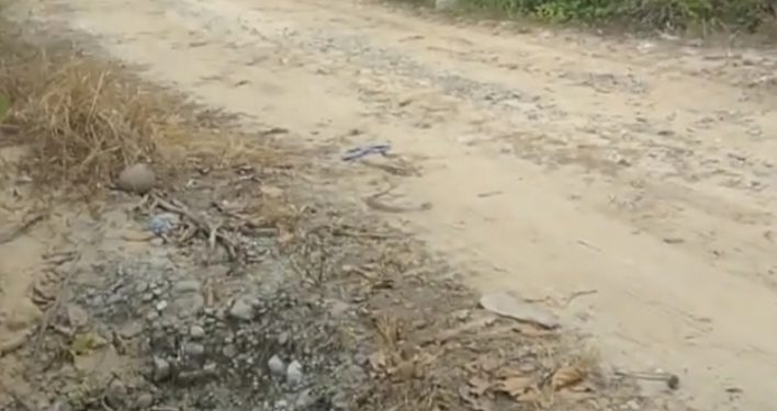 Dugaan Ilegal, PT AKM Keruk Tanah Timbun di Kawasan Hutan Produksi Konversi Milik PHR di Rokan Hilir