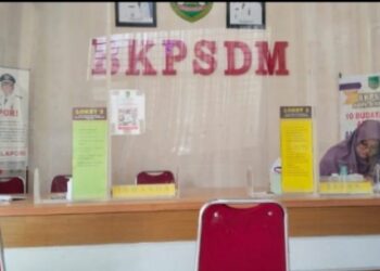 Ironi : APBD Rohil 2026 Anggaran Alat Listrik BKPSDM, ‘Gemuk’Rp44 Juta, Layanan Publik Disdukcapil Justru ‘Dianaktirikan’,