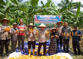 Kapolres Rohil Pimpin Panen Raya Jagung, Dukung Ketahanan Pangan Nasional