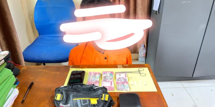 Miliki Enam Paket Sabu, Seorang Pria di Siak Kecil Diamankan Polisi