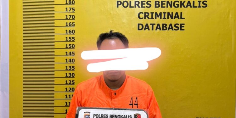 Satu Pelaku Diamankan ,terkait ilegal logging di Siak kecil