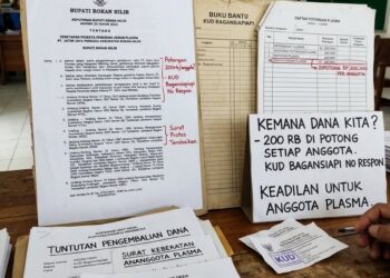 Waaah…Penyaluran Plasma oleh KUD Bagansiapiapi dari Hasil Kebun PT JJP Dipertanyakan, Ini 4 Poin Penting! 
