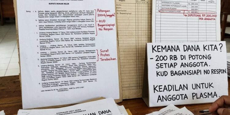 Waaah…Penyaluran Plasma oleh KUD Bagansiapiapi dari Hasil Kebun PT JJP Dipertanyakan, Ini 4 Poin Penting!