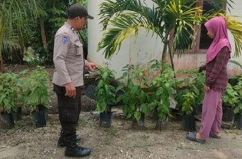 Kebun Cabai Warga Dipantau, Polsek Langgam Kawal Ketahanan Pangan Sotol